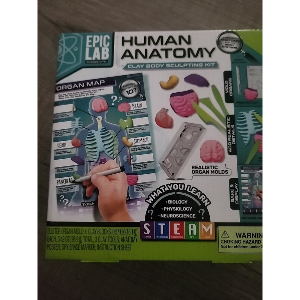 Epic‎ Lab Science Kit - Human Anatomy Body Clay Sculpting Kit Homeschool School